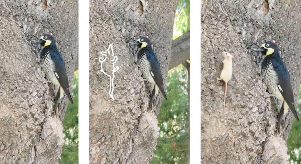 هوش مصوعی در گلکسی S25 اولترا