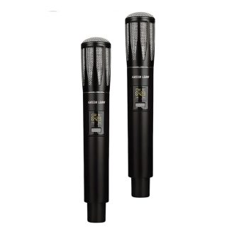 میکروفن بی سیم گرین لاین Dual Mic Cordless – ست دوتایی