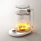 کتری برقی شیائومی Smart Kettle 2 Pro MJJYSH01-A تصویر پنجم